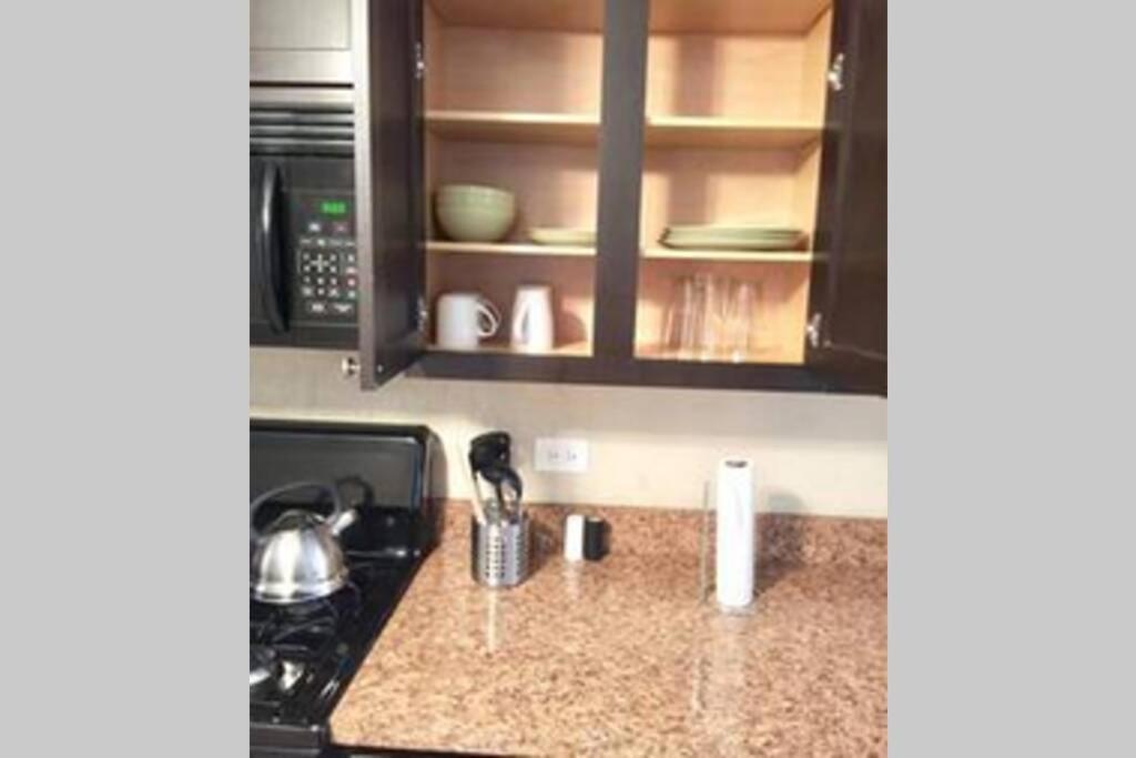Entire Modern 2 Bedroom Apartment 芝加哥 外观 照片
